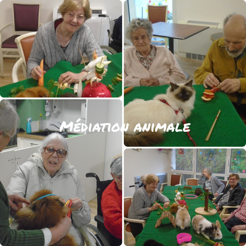 actualité EHPAD SEDNA