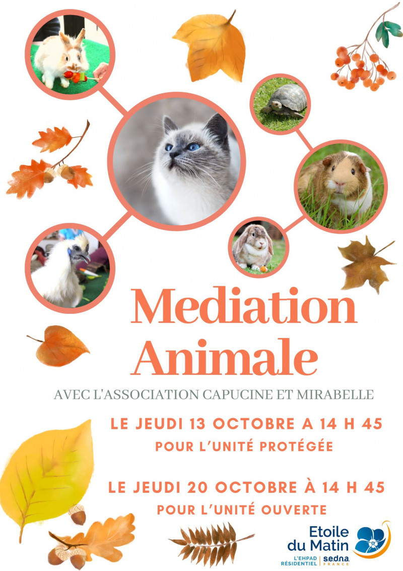 MÉDIATION ANIMALE EN OCTOBRE 2022