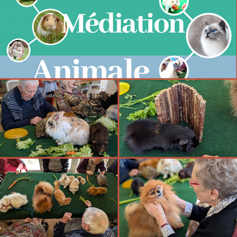 Un atelier animalier plein de vie et d’émotions !